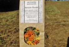 Artemisia infusions. Rêverie florale