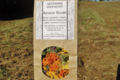 Artemisia infusions. Rêverie florale