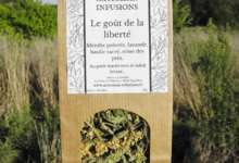 Artemisia infusions. Le goût de la liberté