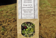 Artemisia infusions. Eloge de la gourmandise