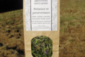 Artemisia infusions. Présence et persévérence