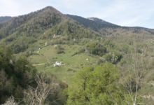 Les Ruchers De Naoudis