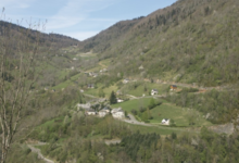 Les Ruchers De Naoudis