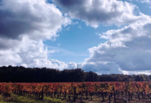 Chateau Saint Louis
