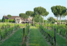 Chateau Saint Louis