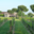 Chateau Saint Louis