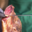 Jambon fumé de Sanglier sauvage tranché