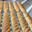La Forneria. Baguette viennoise
