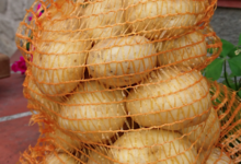 Ferme Bel-Air. Pomme de Terre Artemis