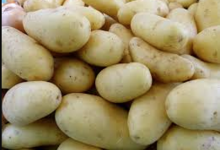 Ferme Bel-Air. Pomme de Terre Grenaille
