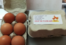Ferme Bel-Air. Oeuf de plein air