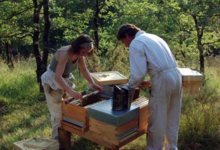 La grange aux abeilles