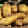 Mon Potager 09. Pomme de terre