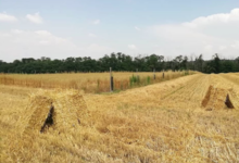 Ferme de la Margue