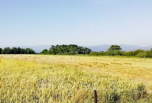 Ferme de la Margue