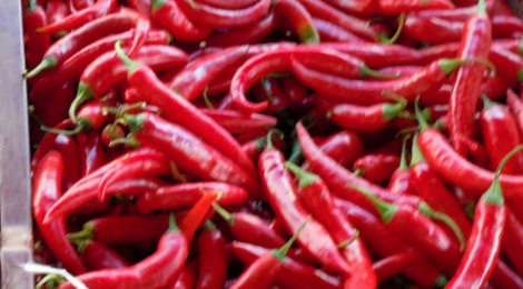 JP Piments. Piment de Provence