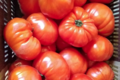 Le Panier de Séverine. tomates
