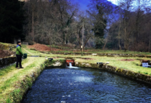 Pisciculture Des Chutes D'aston