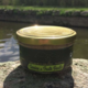Pisciculture Des Chutes D'aston. Terrine de truite basilic