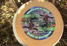 Fromagerie de La Core. La Bethmalaise de chèvre