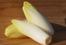 Domaine de Vernou. endives