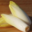 Domaine de Vernou. endives