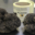 PLANTIN, le goût de la truffe depuis 1930