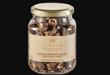 Plantin. Morilles sauvages séchées