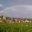 Domaine Guy et Yvan Dufouleur