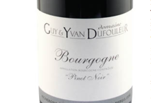 Domaine Guy et Yvan Dufouleur. Bourgogne “Pinot Noir“
