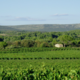 Domaine Du Mas De Bayle