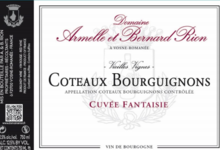 Domaine Rion Armelle Et Bernard. Coteaux Bourguignons "cuvée fantaisie"