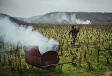 Domaine Cecile Tremblay