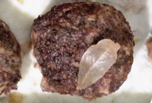Pla d'en Bigorre. Fricandaux