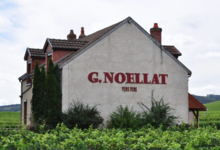 Domaine Georges Noellat