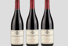 Domaine Trapet Père Et Fils. Gevrey-Chambertin 1er cru