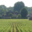 domaine Leymarie – CECI