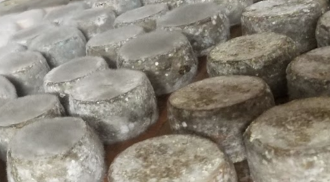 Chèvrerie Ste Agathe. Tomme de chèvre