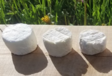 Chèvrerie Ste Agathe. Fromage de chèvre frais