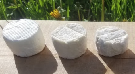 Chèvrerie Ste Agathe. Fromage de chèvre frais