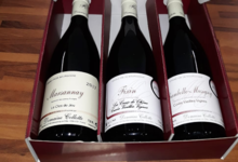 Domaine Collotte. Fixin vieilles vignes