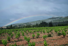 Le domaine du vieux Genévrier