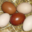 La viande à Billoux. Oeufs