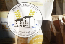 le moulin de roudun