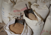 le moulin de roudun