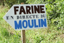 le moulin de roudun