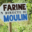 le moulin de roudun