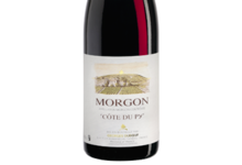 Morgon Côte du Py