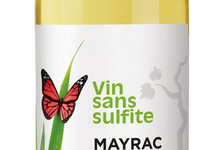Vin Sans Sulfite Blanc 2020