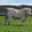 Ferme de la Corbette